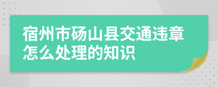 宿州市砀山县交通违章怎么处理的知识