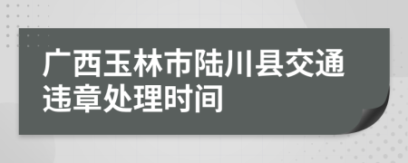 广西玉林市陆川县交通违章处理时间