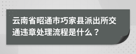 云南省昭通市巧家县派出所交通违章处理流程是什么？