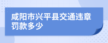 咸阳市兴平县交通违章罚款多少