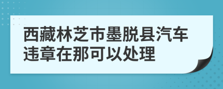 西藏林芝市墨脱县汽车违章在那可以处理