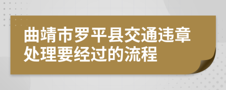 曲靖市罗平县交通违章处理要经过的流程