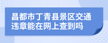 昌都市丁青县景区交通违章能在网上查到吗