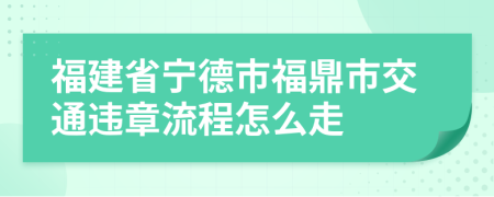 福建省宁德市福鼎市交通违章流程怎么走