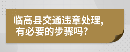 临高县交通违章处理, 有必要的步骤吗?