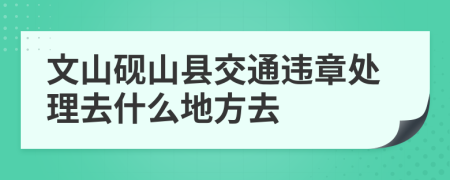 文山砚山县交通违章处理去什么地方去