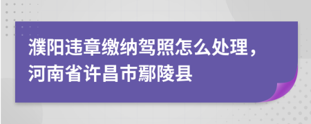 濮阳违章缴纳驾照怎么处理，河南省许昌市鄢陵县