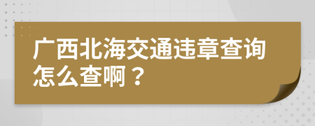 广西北海交通违章查询怎么查啊？