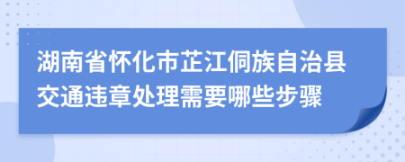 湖南省怀化市芷江侗族自治县交通违章处理需要哪些步骤