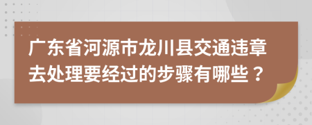 广东省河源市龙川县交通违章去处理要经过的步骤有哪些？