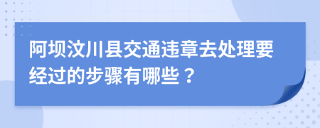 阿坝汶川县交通违章去处理要经过的步骤有哪些？