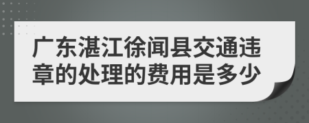 广东湛江徐闻县交通违章的处理的费用是多少