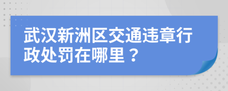 武汉新洲区交通违章行政处罚在哪里？