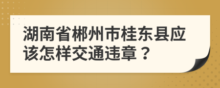 湖南省郴州市桂东县应该怎样交通违章？