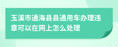 玉溪市通海县县通用车办理违章可以在网上怎么处理