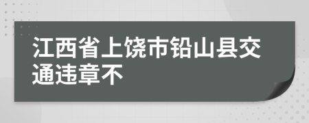 江西省上饶市铅山县交通违章不