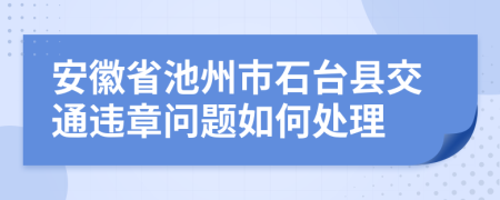 安徽省池州市石台县交通违章问题如何处理