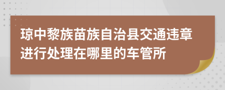 琼中黎族苗族自治县交通违章进行处理在哪里的车管所