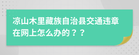 凉山木里藏族自治县交通违章在网上怎么办的？？