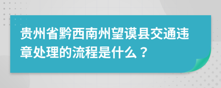 贵州省黔西南州望谟县交通违章处理的流程是什么？