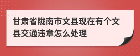 甘肃省陇南市文县现在有个文县交通违章怎么处理