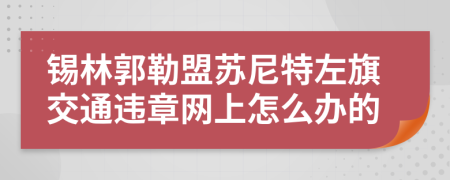 锡林郭勒盟苏尼特左旗交通违章网上怎么办的