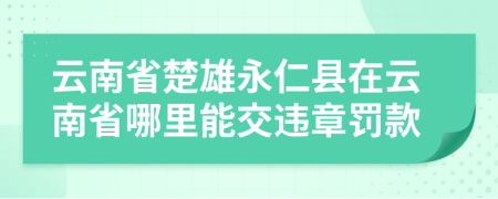 云南省楚雄永仁县在云南省哪里能交违章罚款