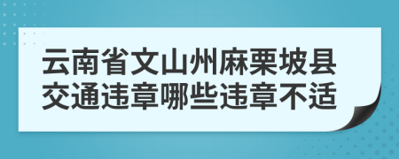 云南省文山州麻栗坡县交通违章哪些违章不适