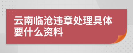 云南临沧违章处理具体要什么资料