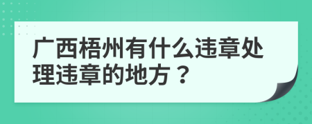 广西梧州有什么违章处理违章的地方？