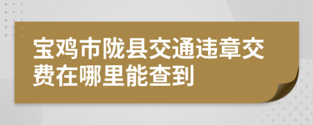 宝鸡市陇县交通违章交费在哪里能查到