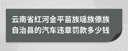 云南省红河金平苗族瑶族傣族自治县的汽车违章罚款多少钱