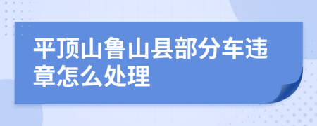 平顶山鲁山县部分车违章怎么处理