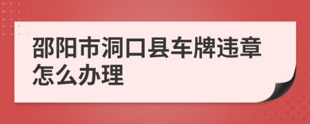 邵阳市洞口县车牌违章怎么办理