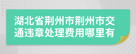 湖北省荆州市荆州市交通违章处理费用哪里有