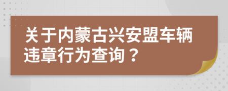 关于内蒙古兴安盟车辆违章行为查询？