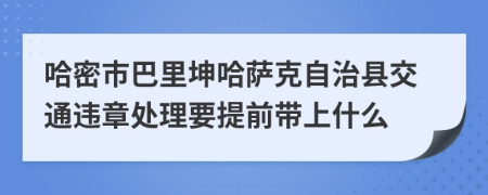 哈密市巴里坤哈萨克自治县交通违章处理要提前带上什么