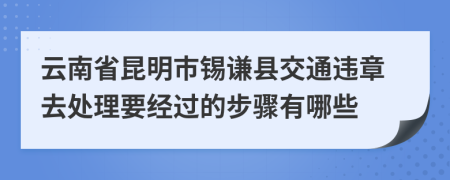 云南省昆明市锡谦县交通违章去处理要经过的步骤有哪些