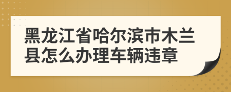 黑龙江省哈尔滨市木兰县怎么办理车辆违章