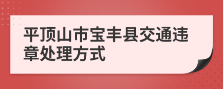 平顶山市宝丰县交通违章处理方式