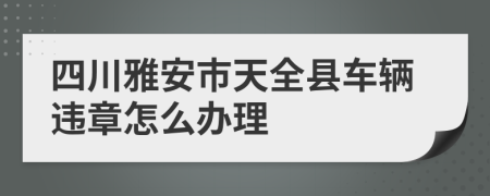 四川雅安市天全县车辆违章怎么办理