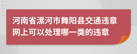 河南省漯河市舞阳县交通违章网上可以处理哪一类的违章