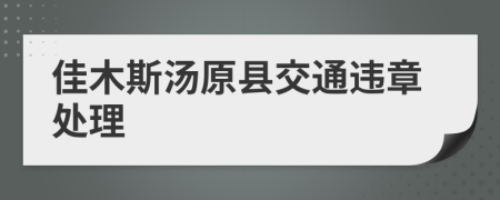 佳木斯汤原县交通违章处理