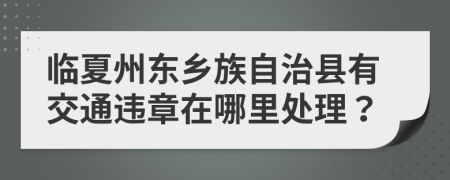 临夏州东乡族自治县有交通违章在哪里处理？