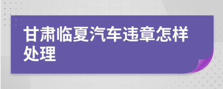 甘肃临夏汽车违章怎样处理