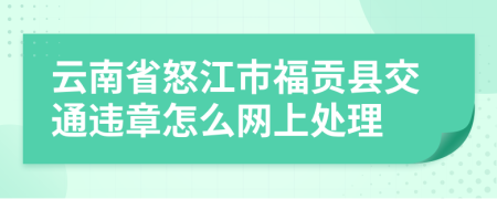 云南省怒江市福贡县交通违章怎么网上处理