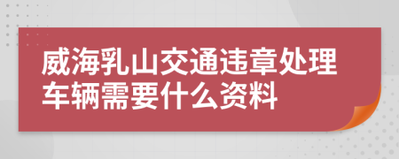 威海乳山交通违章处理车辆需要什么资料