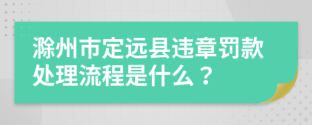 滁州市定远县违章罚款处理流程是什么？