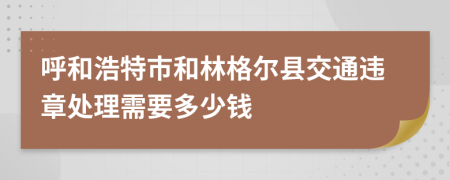 呼和浩特市和林格尔县交通违章处理需要多少钱