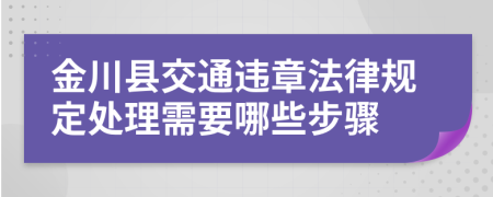 金川县交通违章法律规定处理需要哪些步骤